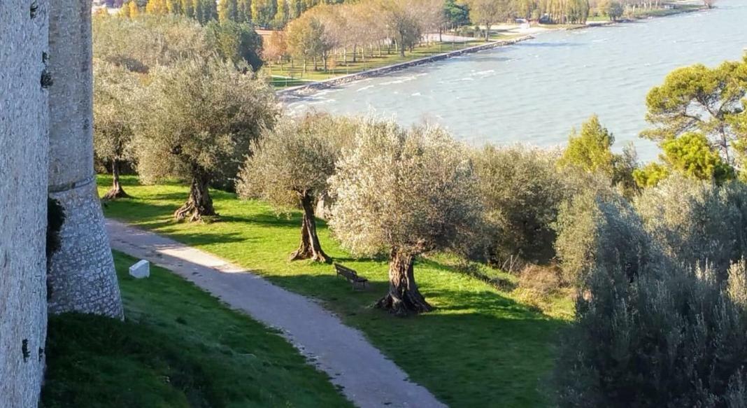 I Tulipani Di Anna Leilighet Castiglione del Lago Eksteriør bilde